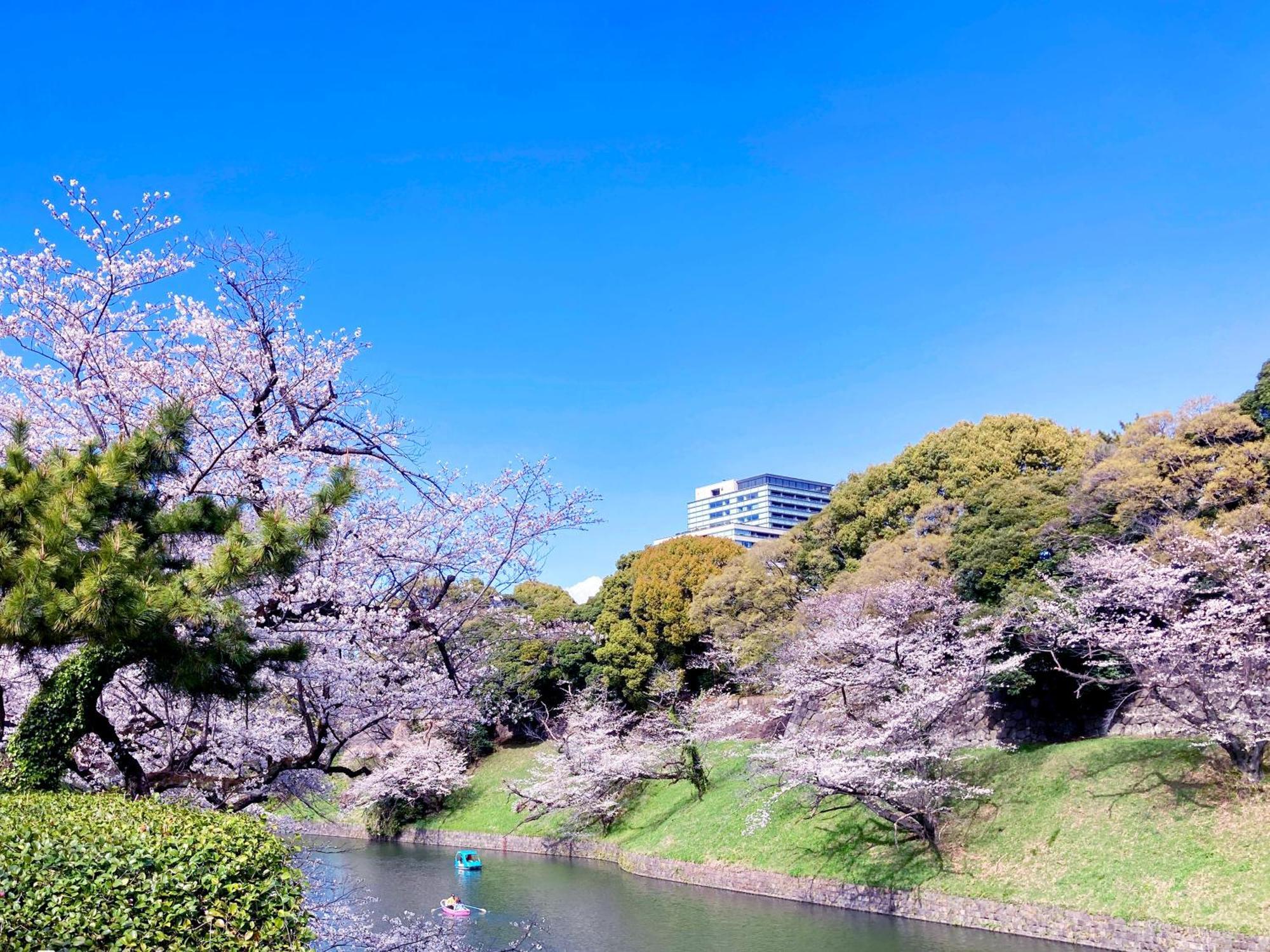 Apa Nagatacho Hanzomon Ekimae Hotel 3*